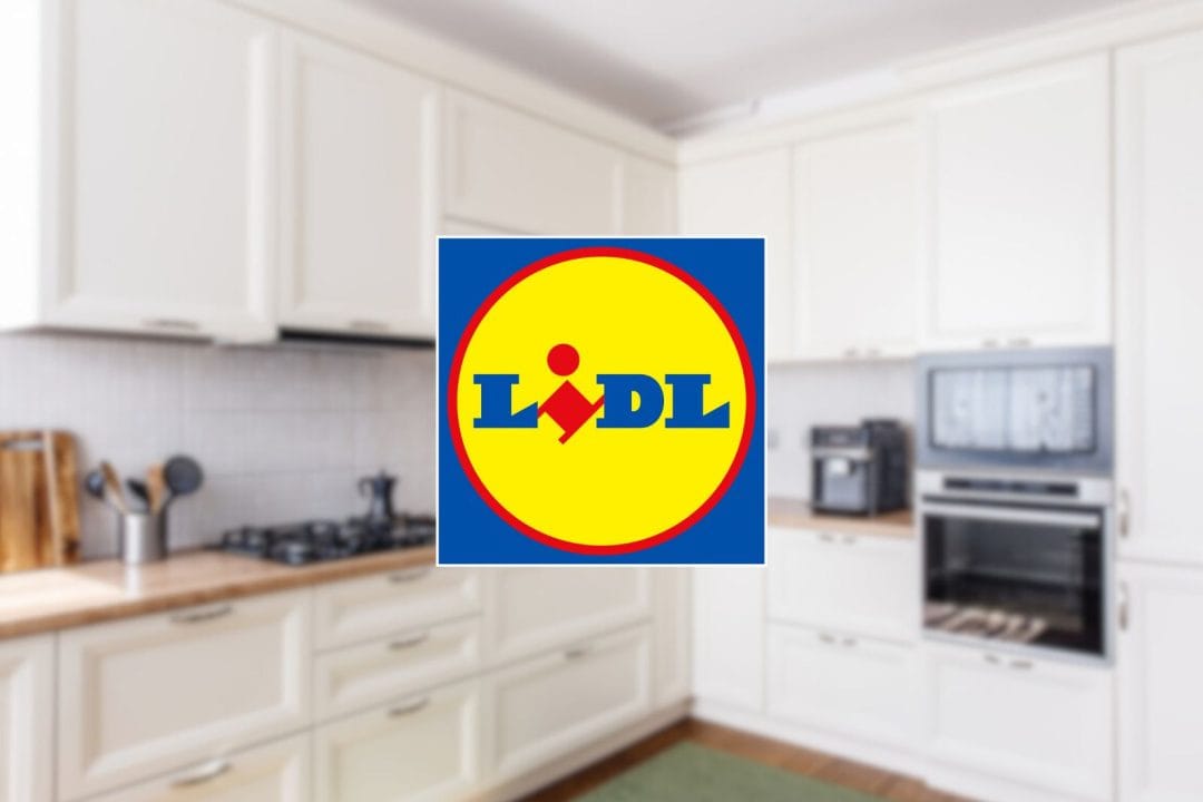 Lidl sort 3 pépites à tout petit prix !
