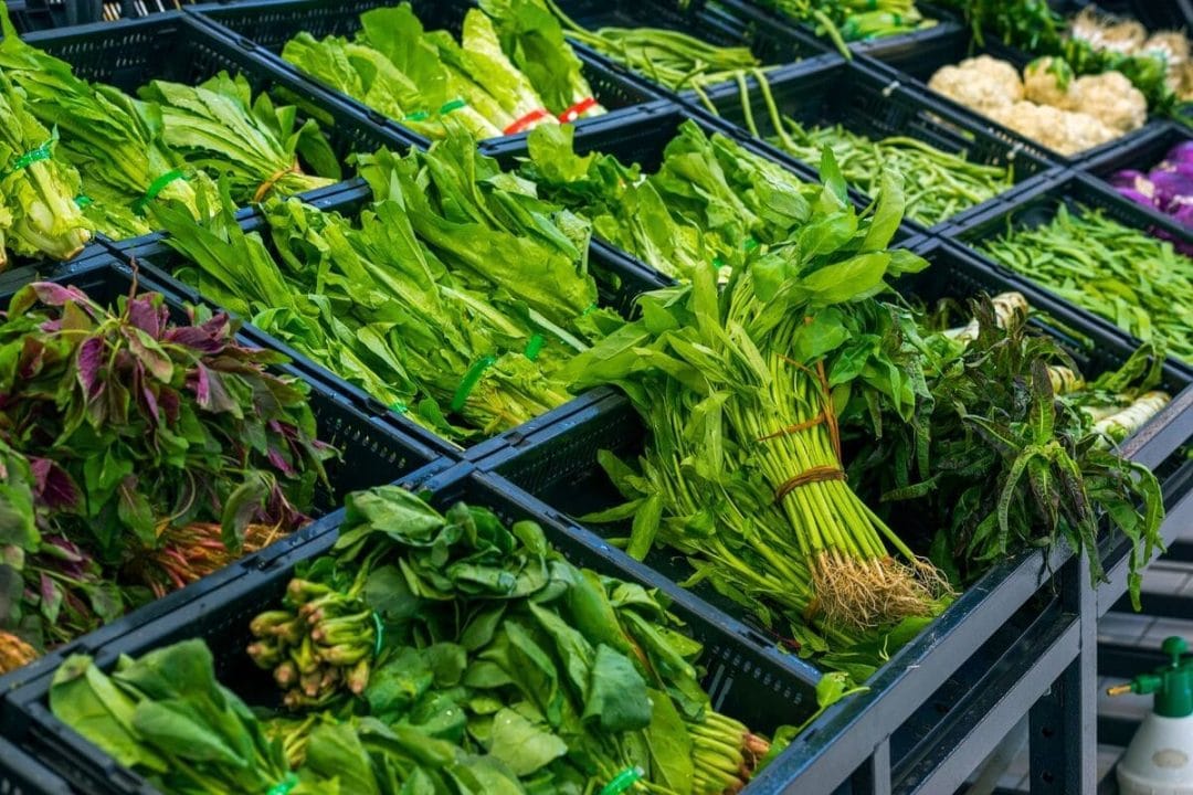 le légume le plus sain