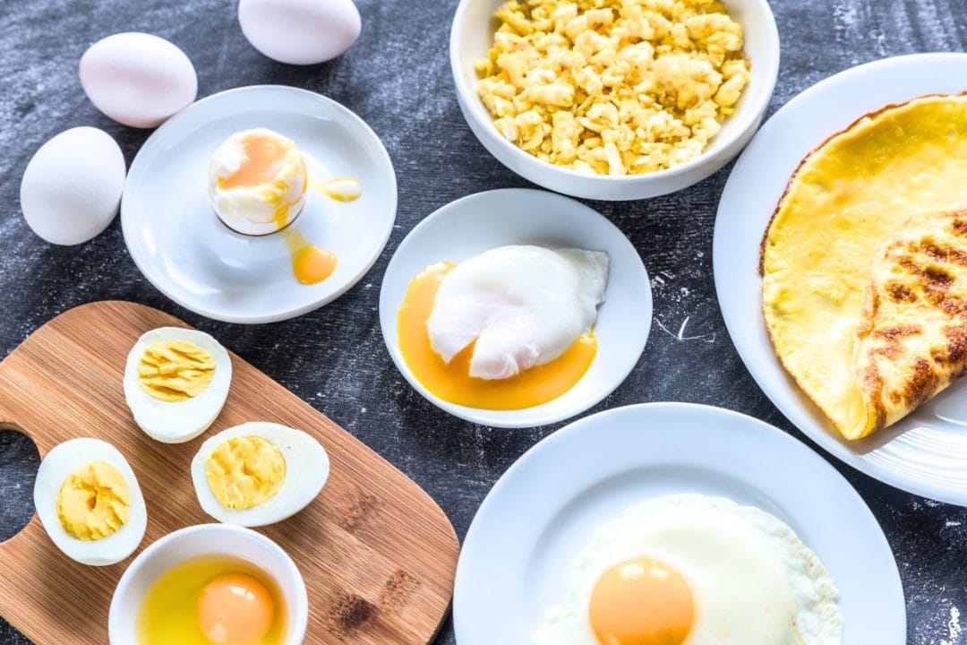 effet des œufs sur votre cerveau