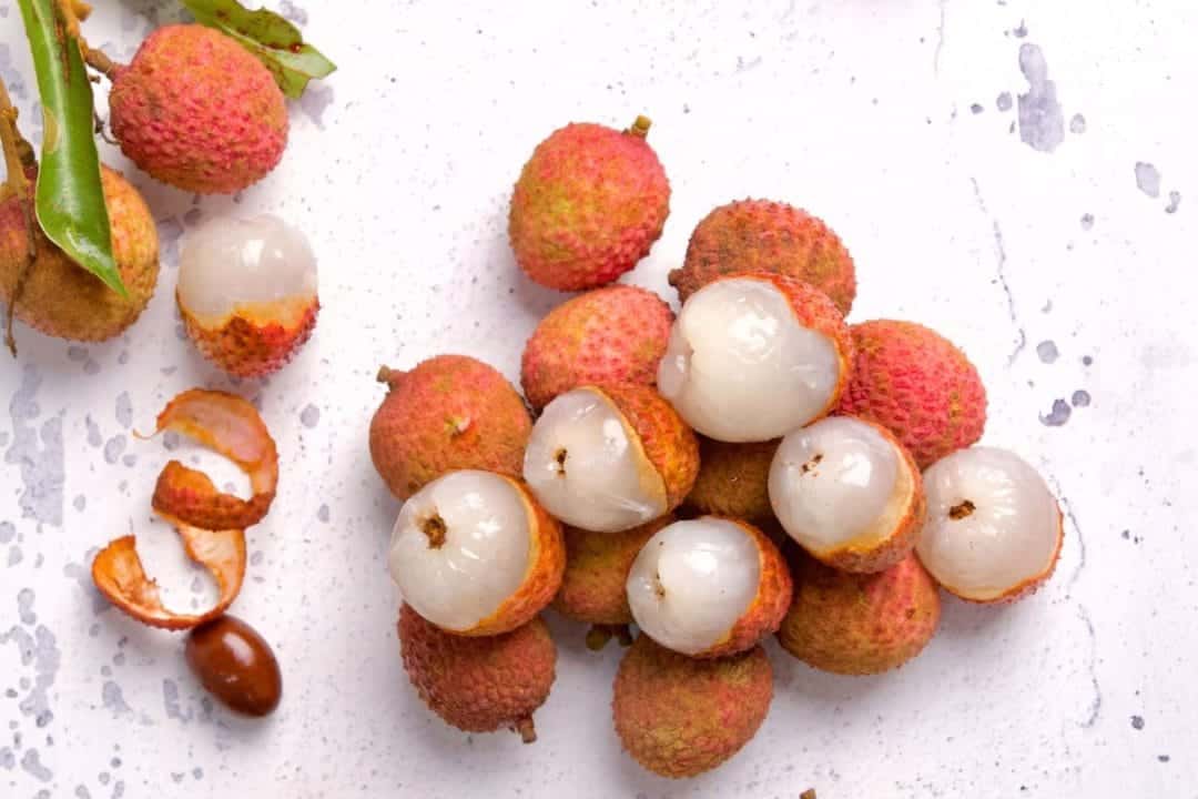 Noyau de litchi pouvant transformer en une belle plante