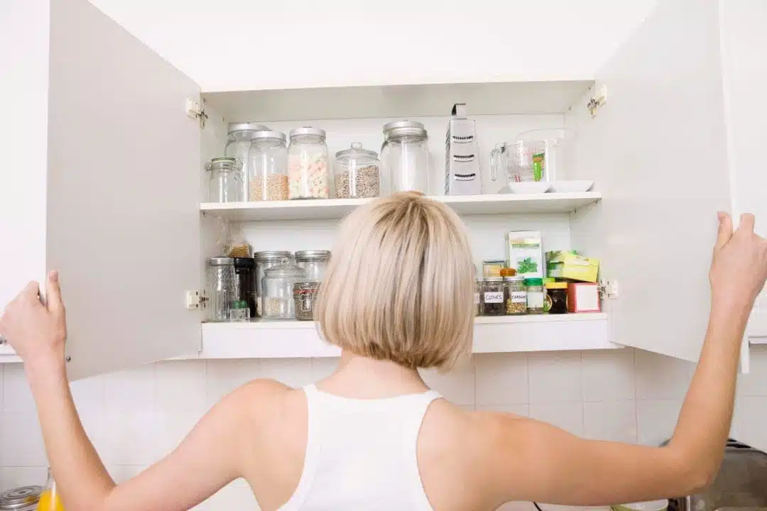 Ingrédients du placard agissant comme un insecticide