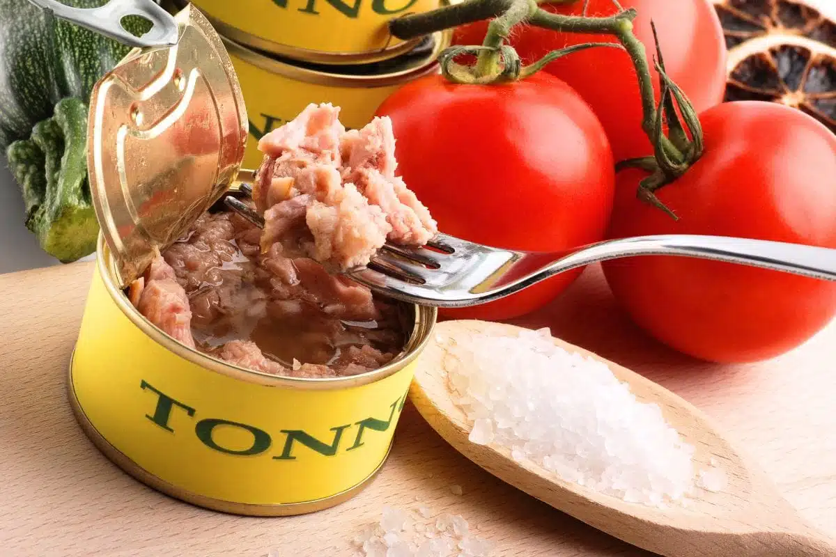 Thon en boîte une contamination au mercure qui inquiète toute l’Europe