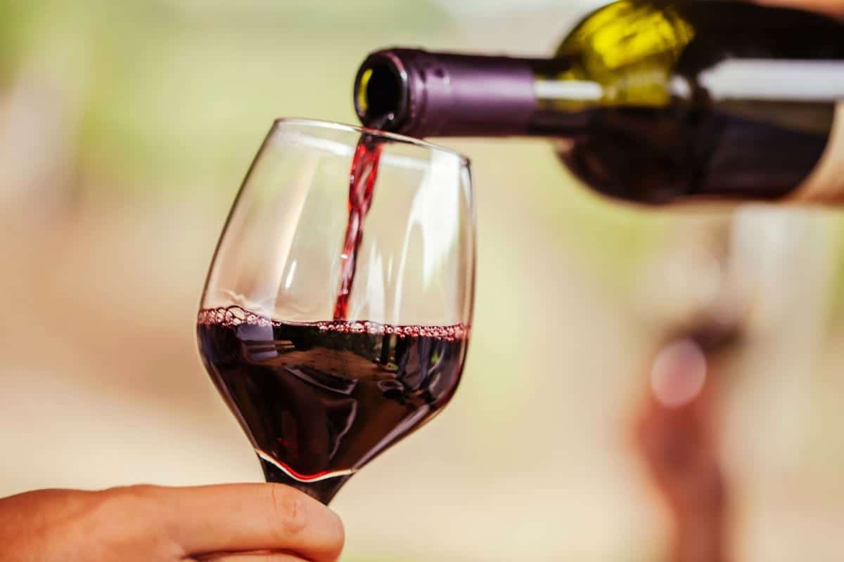 Pourquoi du vin était servi aux enfants