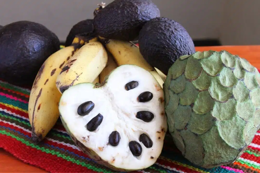 Le fruit noté 96/100 qui séduit les chercheurs