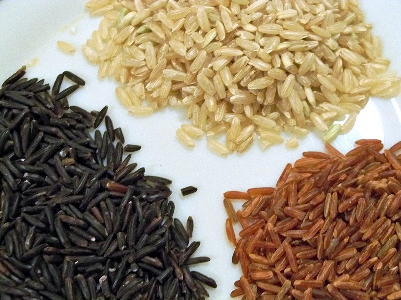 Sortes Riz Comment bien reconnaître les différentes sortes de riz ? - Mon Instant ...