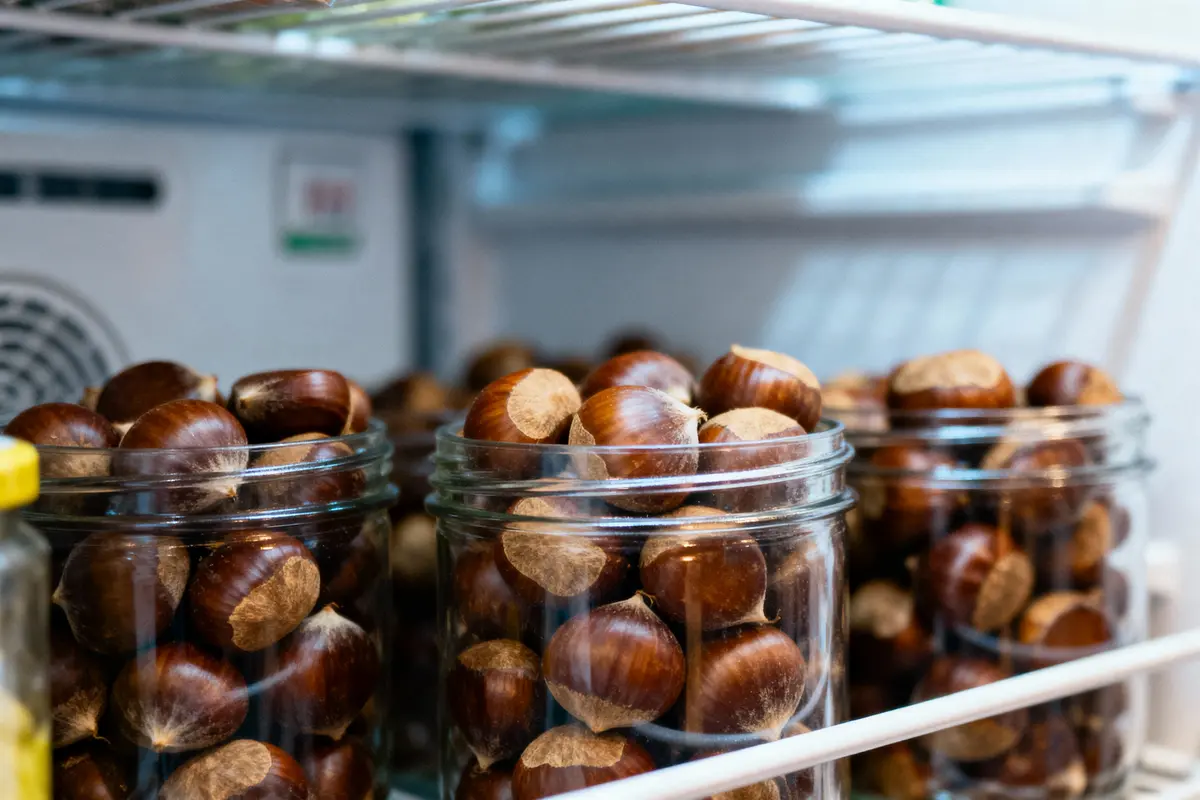 Bocaux de châtaignes fraîches dans un réfrigérateur sur une étagère métallique.