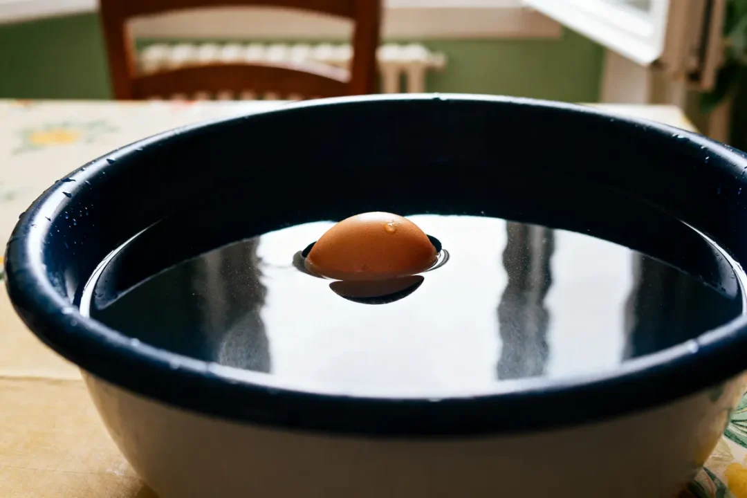 Oeuf qui flotte à la surface d'un bol d'eau sur une table
