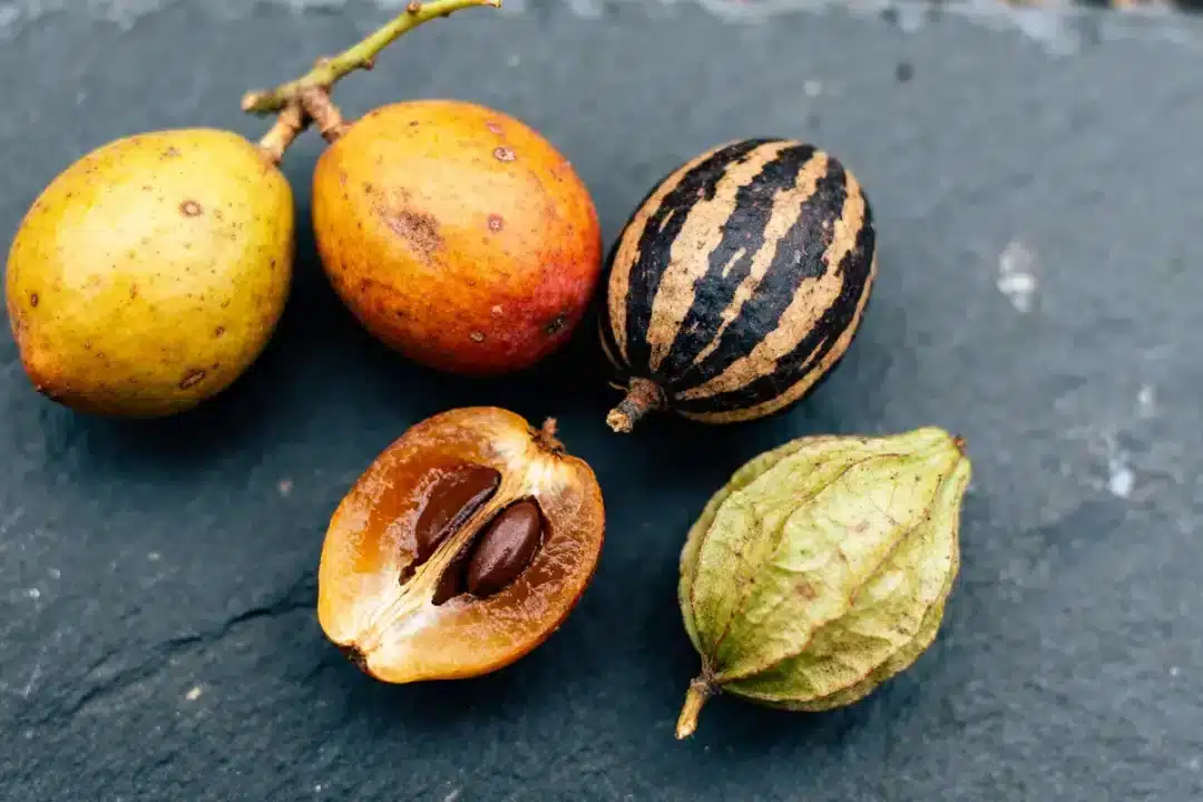Cinq fruits exotiques vifs sur ardoise, évoquent un fruit en Z original.